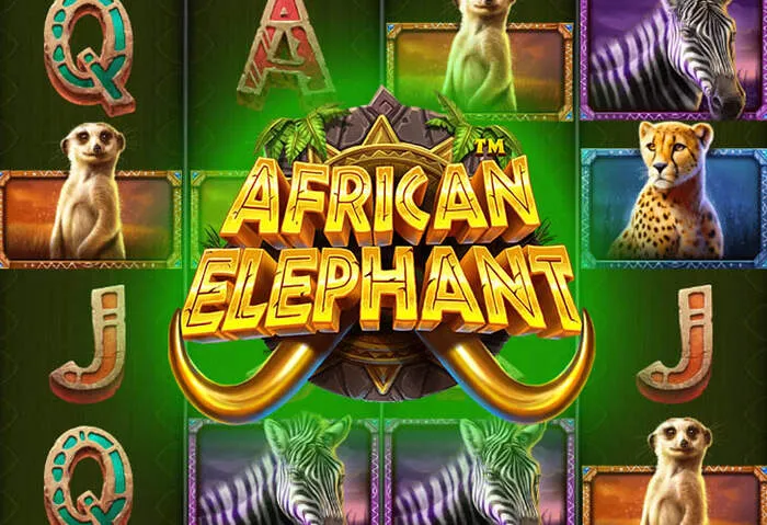 Bet-M mobile casino for on-the-go gaming